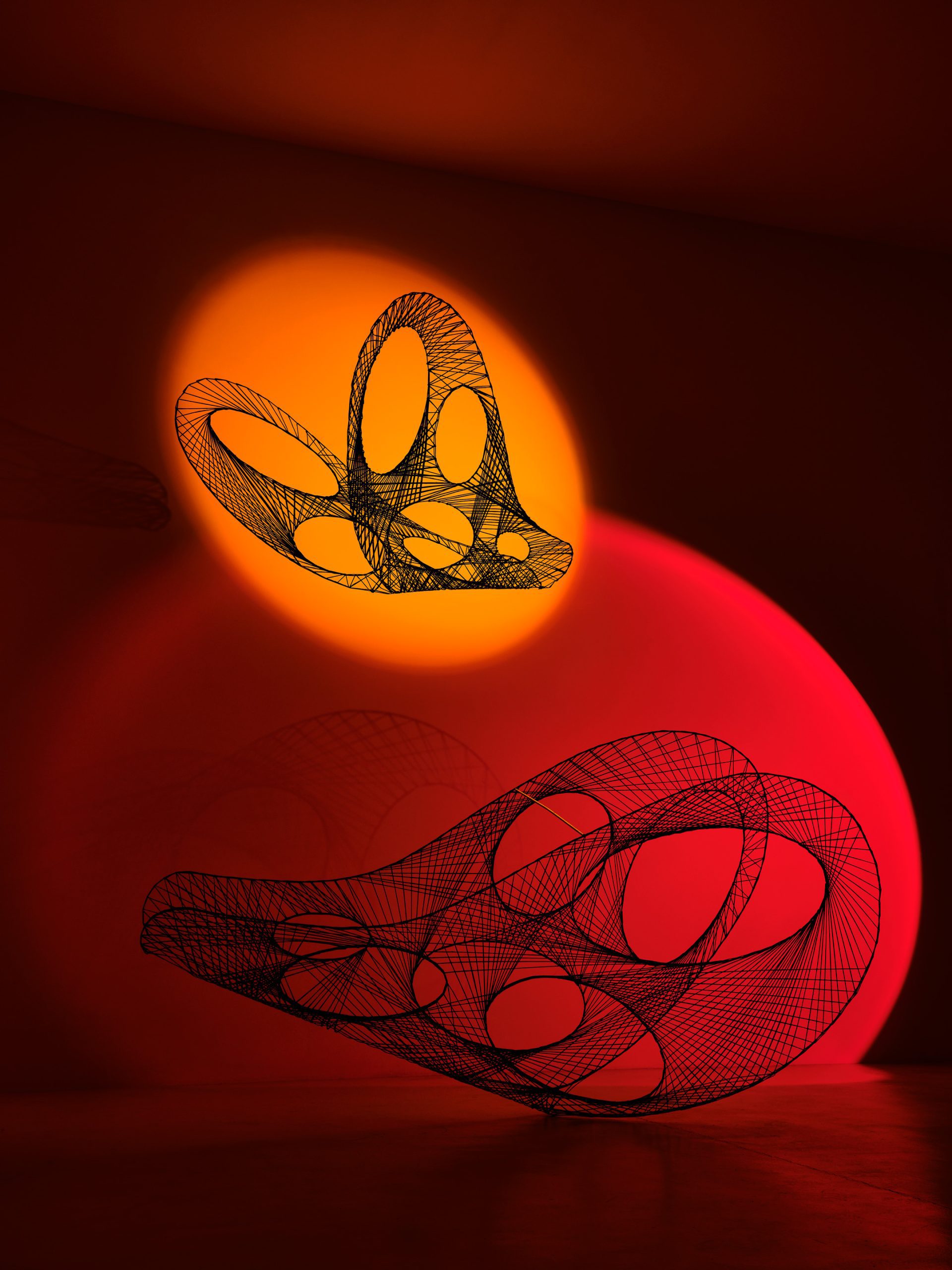 KARBONY-COLORE_farfalla