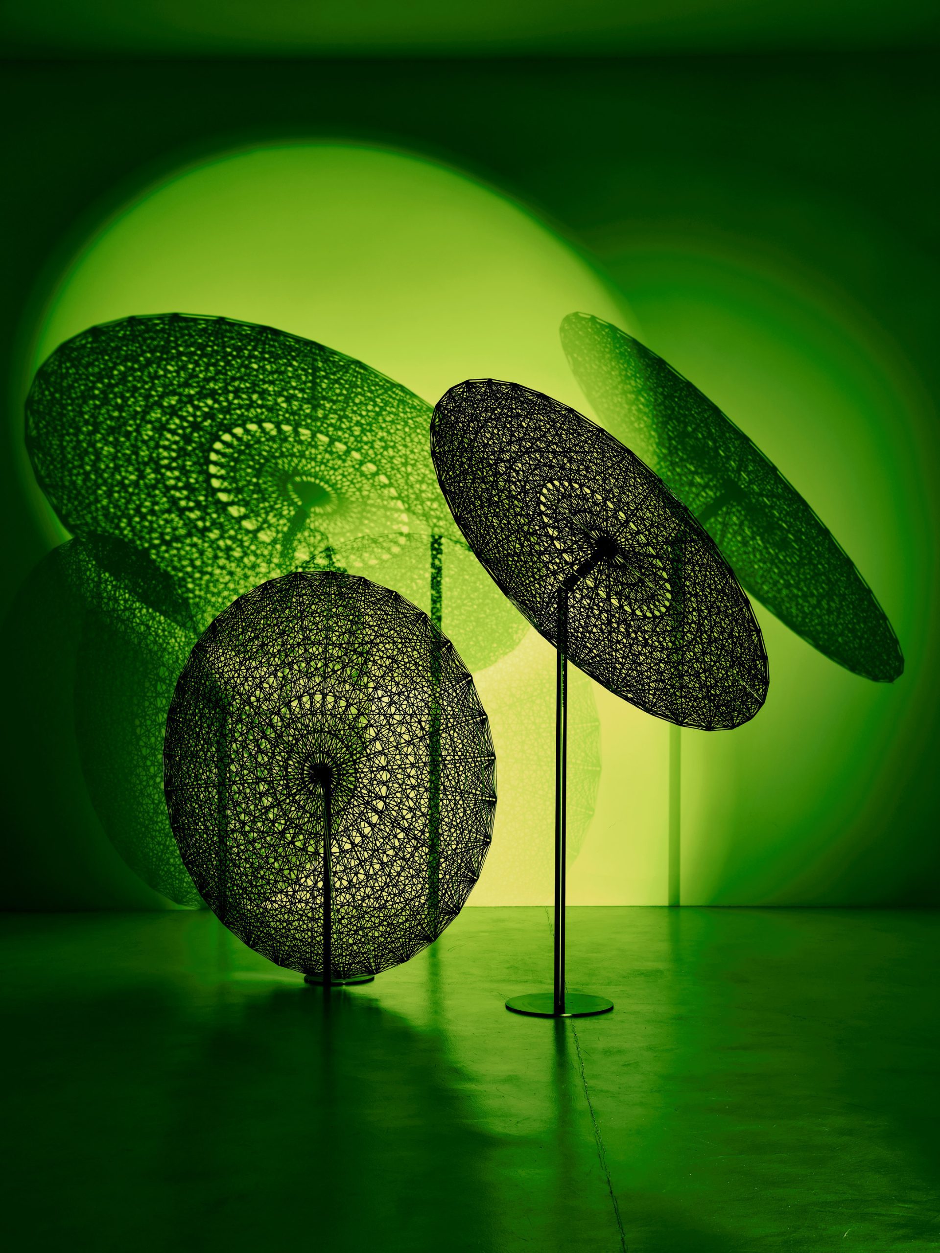 KARBONY-COLORE_jingasa