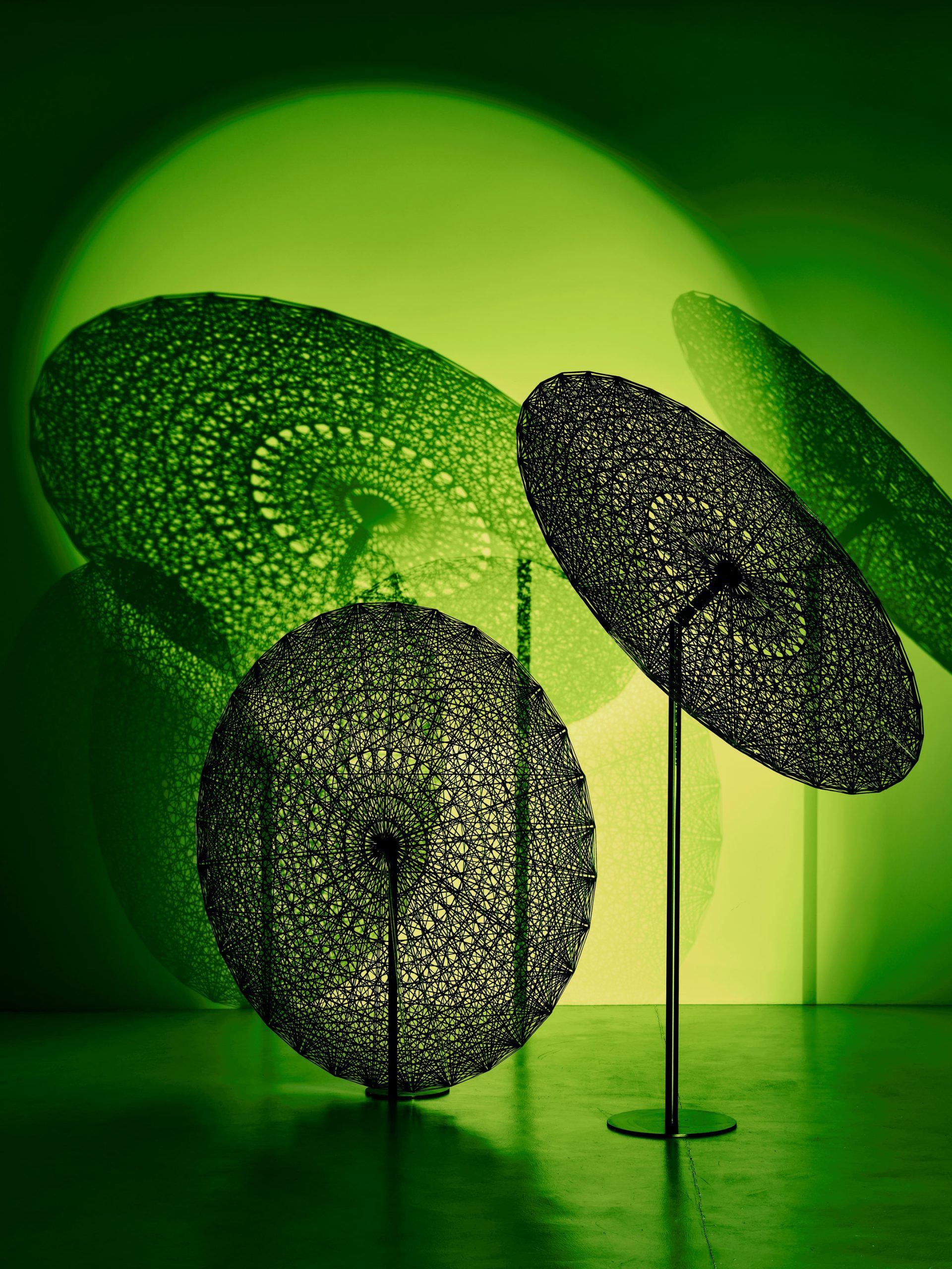 KARBONY-COLORE_jingasa_crop